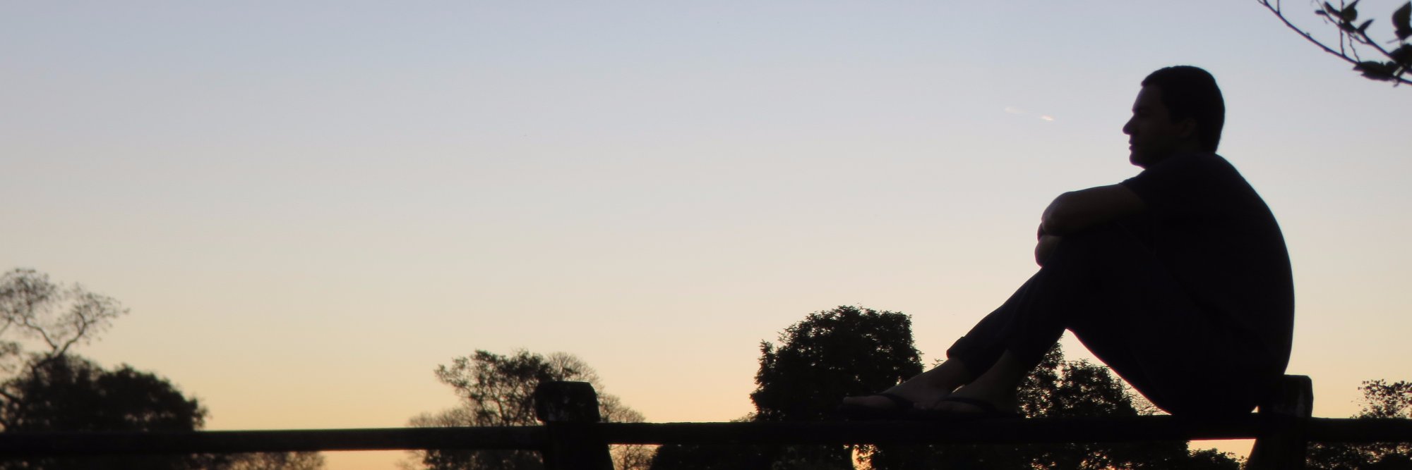 wendelrova's profile banner image