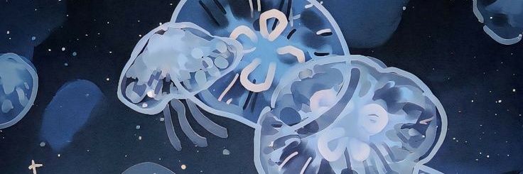 jynnnnger's profile banner image