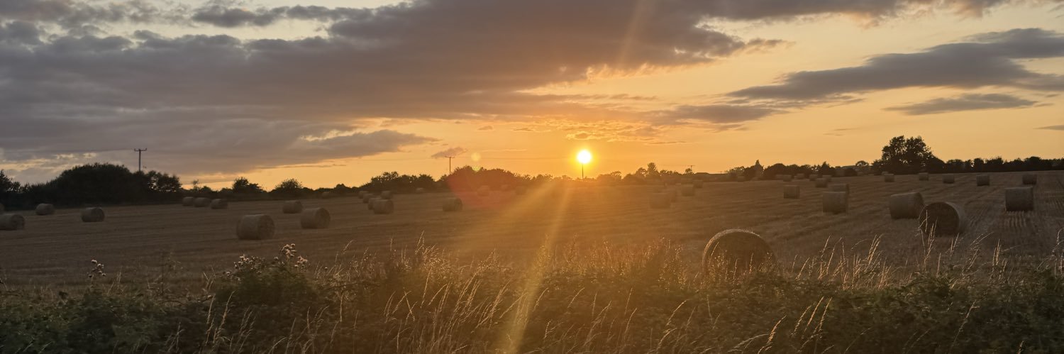Mickyherald's profile banner image