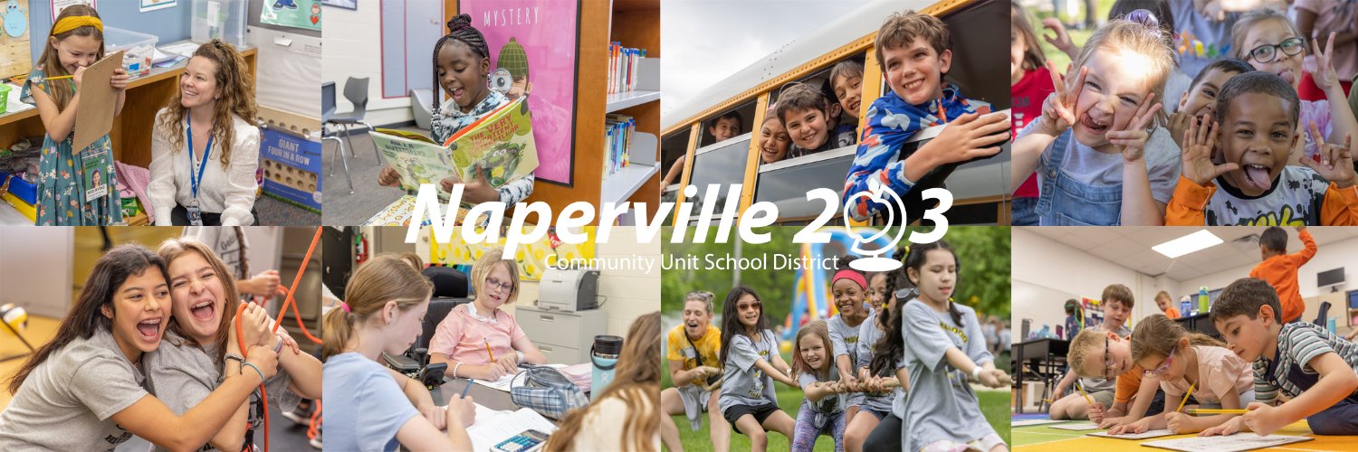 Naperville 203's banner