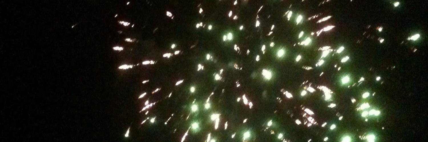 Shanton Chang banner