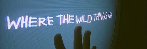 Sil🐝 banner