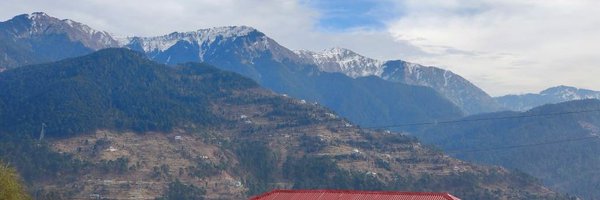 LittleRose777 Profile Banner