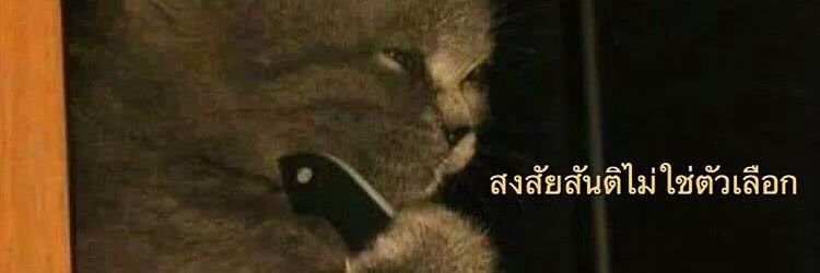 Jamjatu's profile banner image
