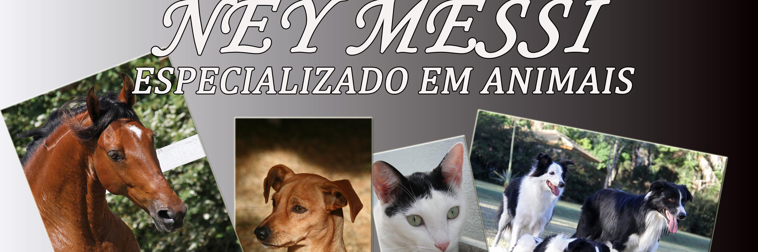 Ney Messi banner