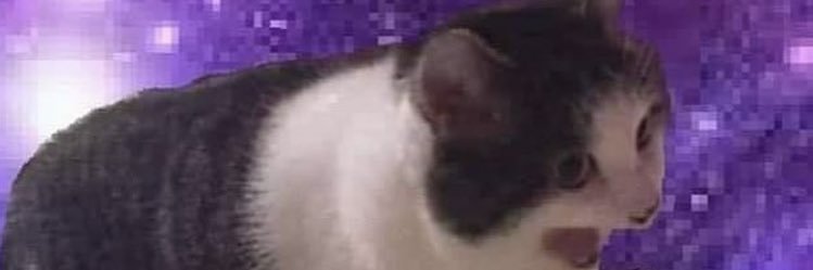 pelisilin's profile banner image