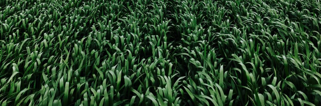 Annieka Paridaen banner