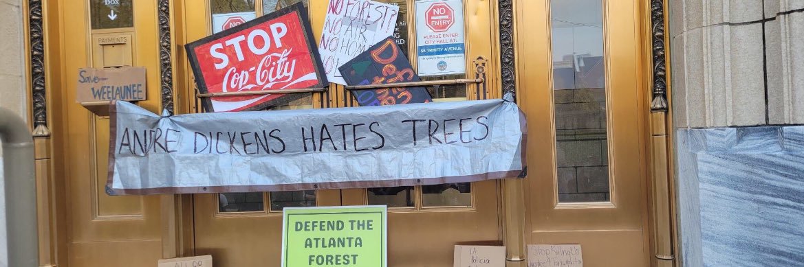 Hannah Riley Fernandez's banner