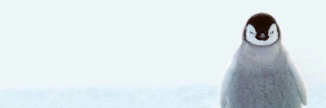 seepent banner
