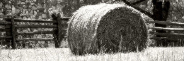 FarmHay's profile banner image