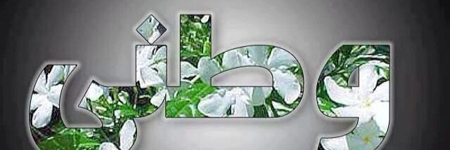 sgzam2005's profile banner image
