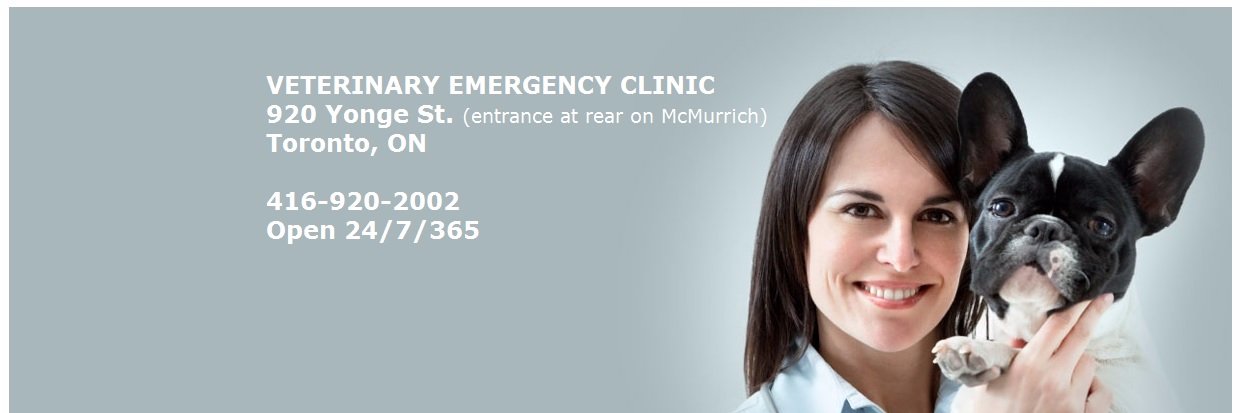 VeterinaryEmerg's profile banner image