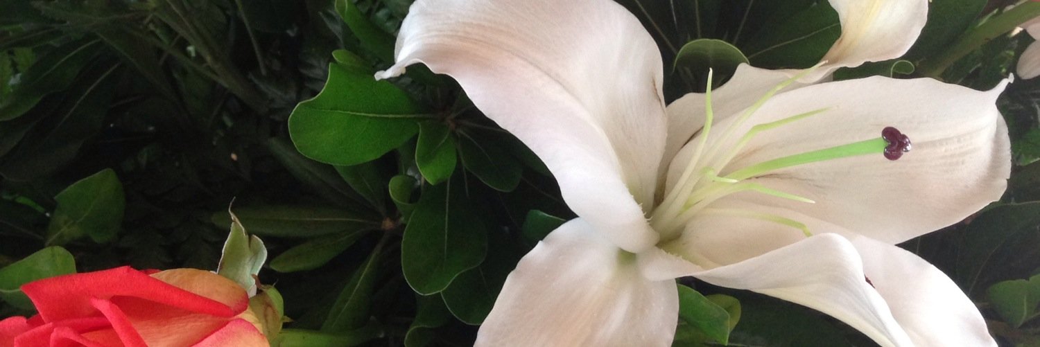 Joy Ahern banner
