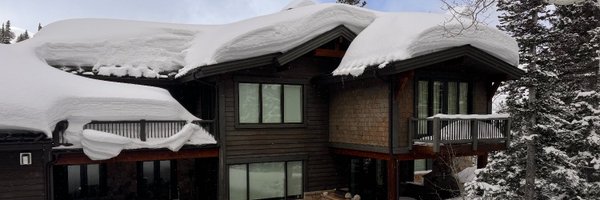 danbogs Profile Banner