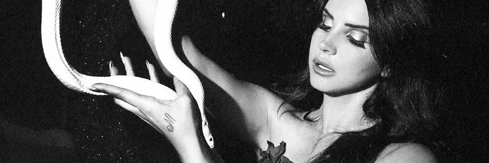 stephannyangel_'s profile banner image