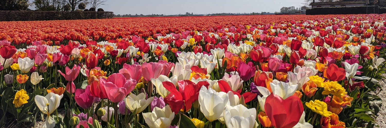 heidi goodson banner