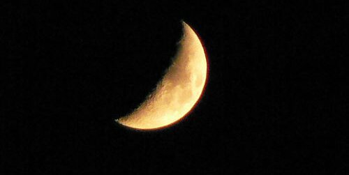moon_tinker_'s profile banner image