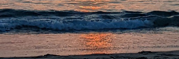 amelienollet Profile Banner