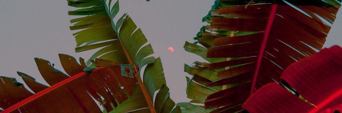 marnietayloruk's profile banner image