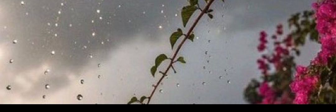 hh20062010's profile banner image