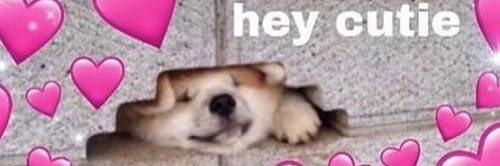 bitchexual's profile banner image