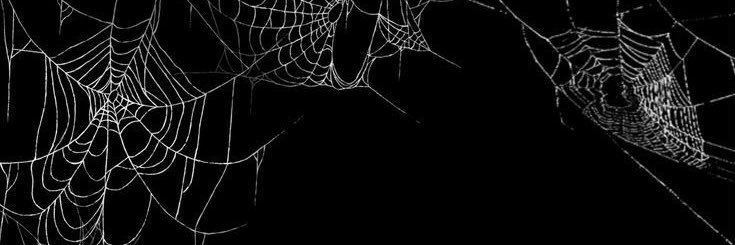 lovaseya's profile banner image