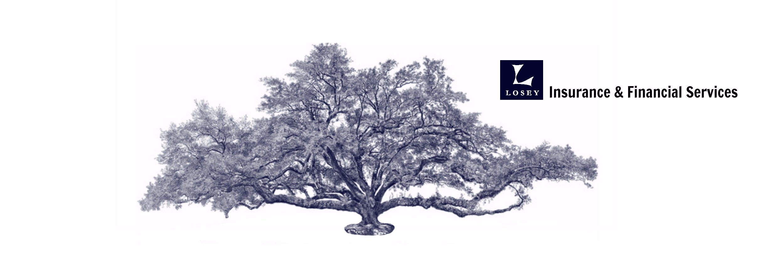 LoseyIns's profile banner image