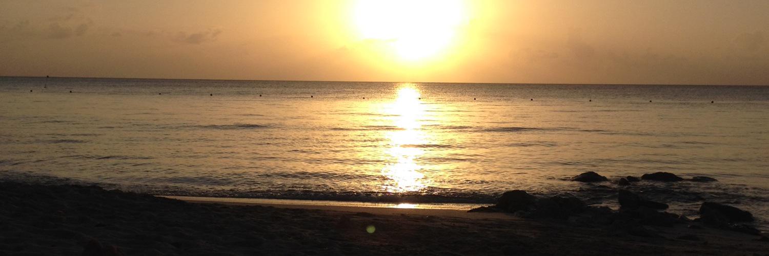 Andy Chamberlin banner