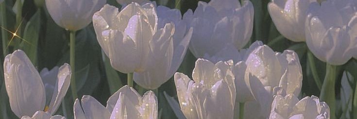 humanurozlu's profile banner image