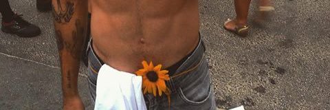 Kaleidalove's profile banner image