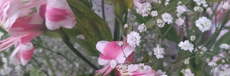 kfmedeiros's profile banner image