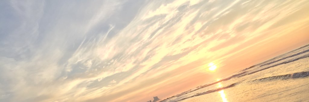 nevicaxlee's profile banner image