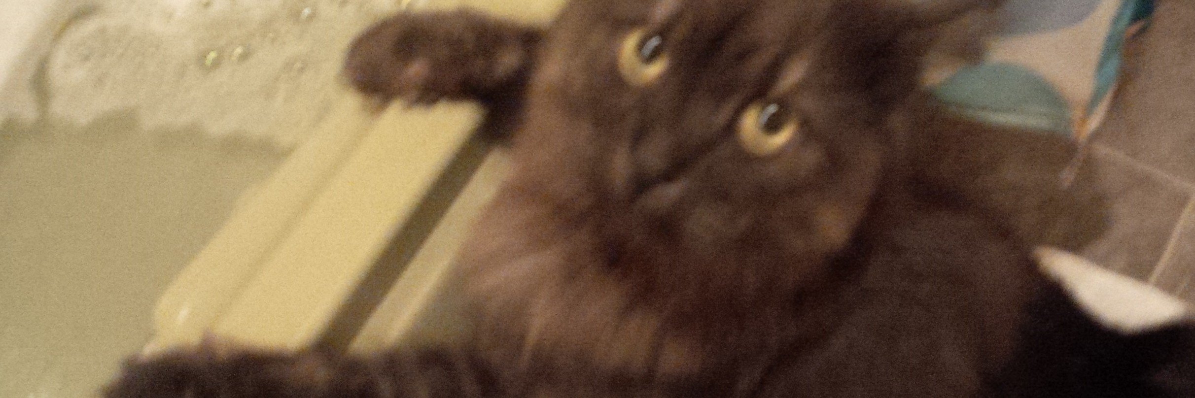 quinnlam45's profile banner image