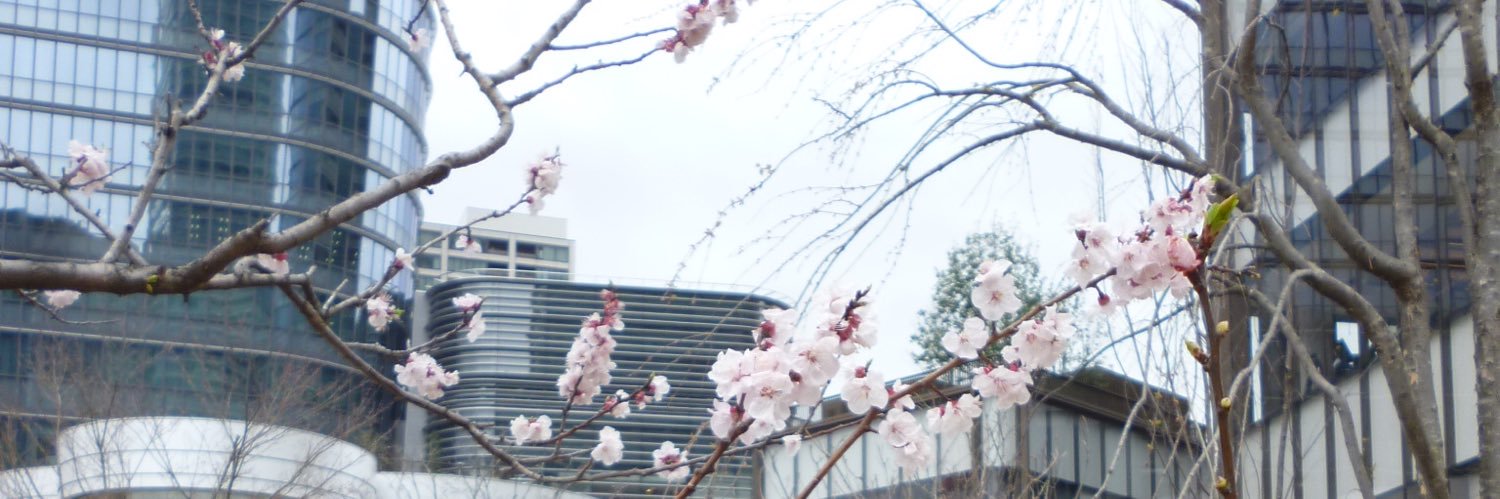 ohhunkimho's profile banner image