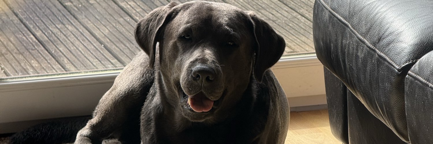 weeamigo's profile banner image