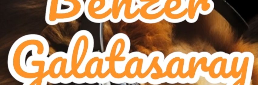 fetih198334's profile banner image