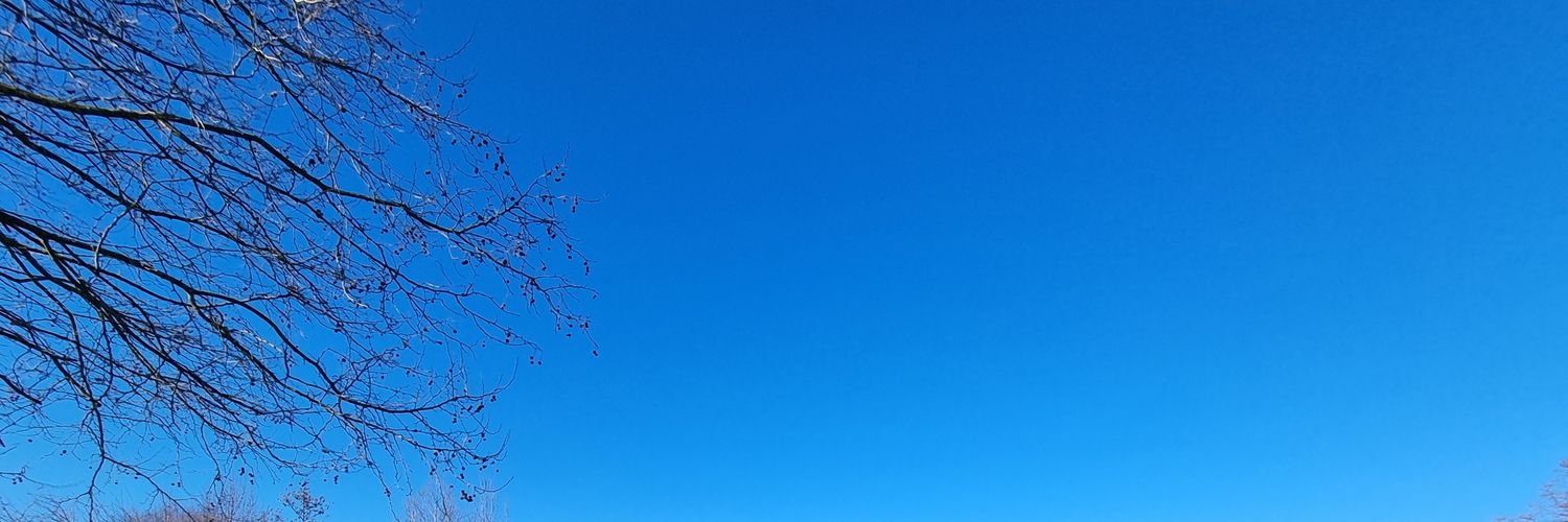 mpierres's profile banner image