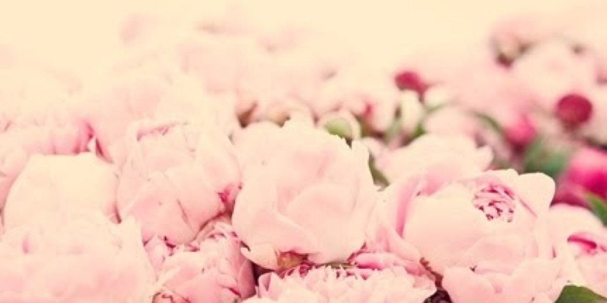 danielleebarnes's profile banner image