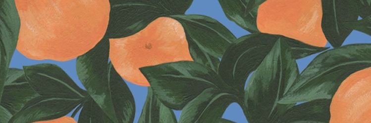 miimildz's profile banner image