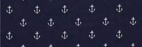 fochbraum's profile banner image
