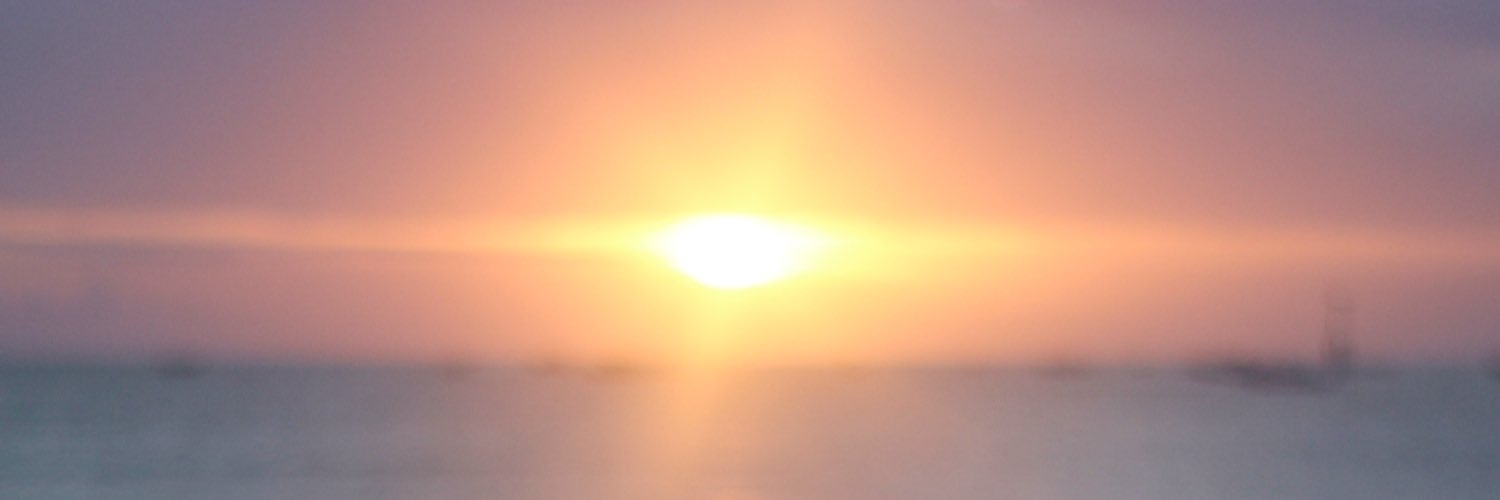 Rohmad Dangu Purwanto banner