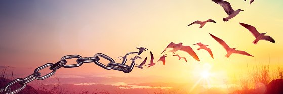brianma94's profile banner image