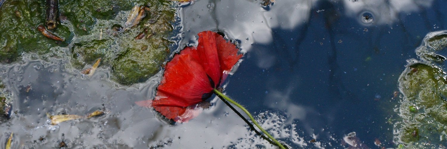 GrupMedicament's profile banner image