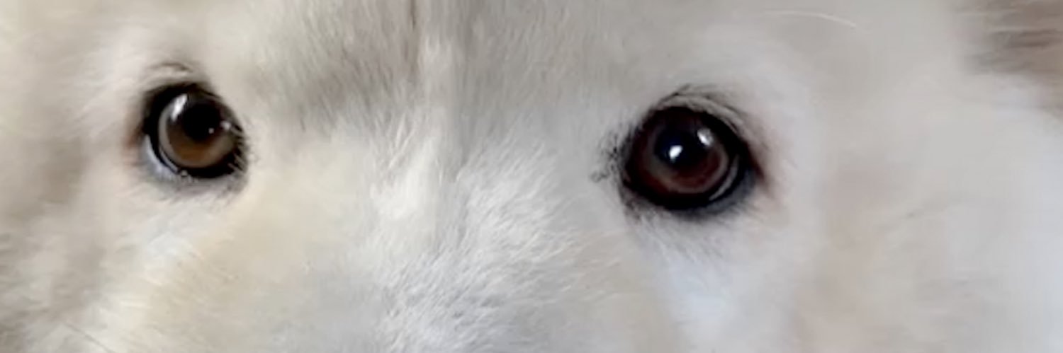 ḑℯʳ ᵳℯ༏∩ℯ ⲏℯʳʳ 𐒢ʳ∩𝘴ₜ banner