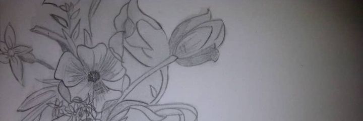 noorsiraj's profile banner image