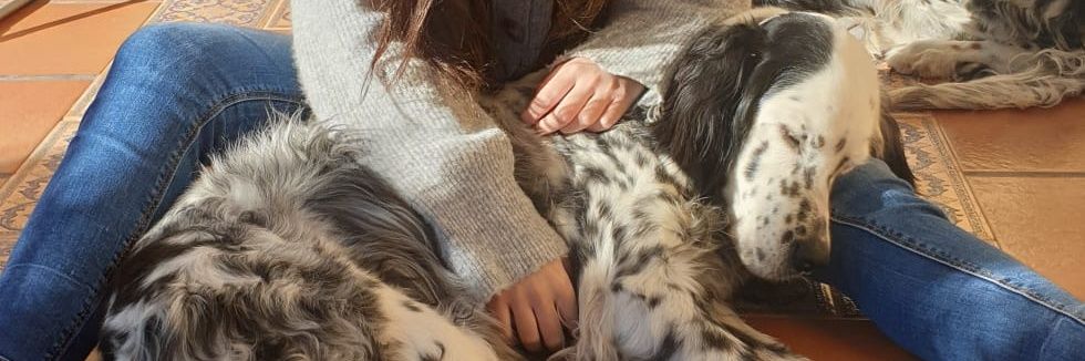 marinaa_tb's profile banner image