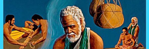 PalliFosterDoc Profile Banner