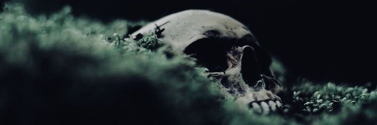 Ms_Misery_'s profile banner image