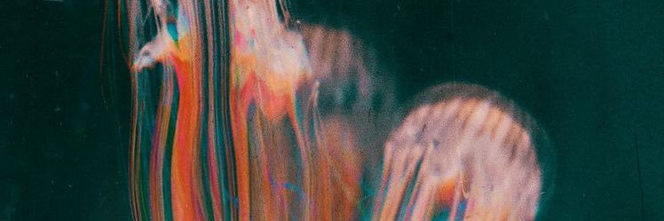 aaip11's profile banner image