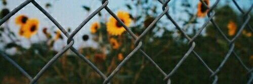 flyyingwithemmo's profile banner image